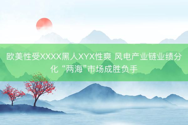 欧美性受XXXX黑人XYX性爽 风电产业链业绩分化 “两海”市场成胜负手