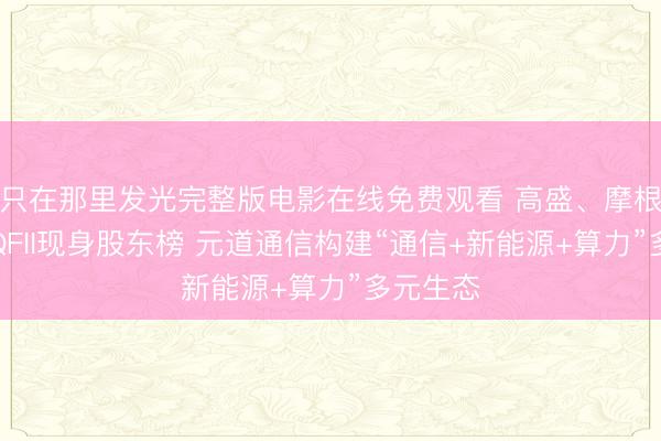 只在那里发光完整版电影在线免费观看 高盛、摩根大通等QFII现身股东榜 元道通信构建“通信+新能源+算力”多元生态