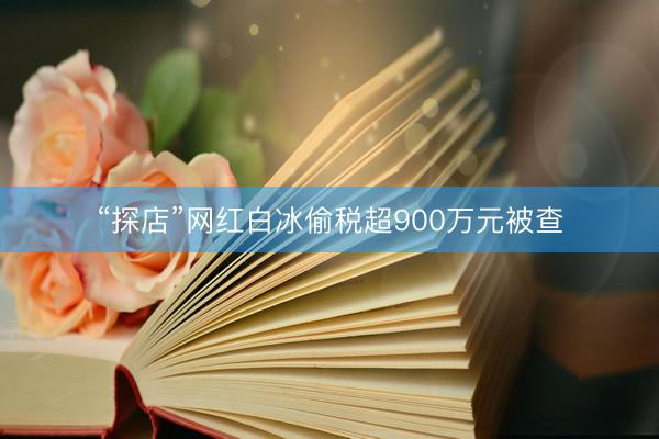 “探店”网红白冰偷税超900万元被查