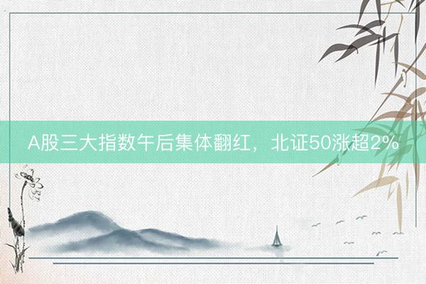 A股三大指数午后集体翻红，北证50涨超2%