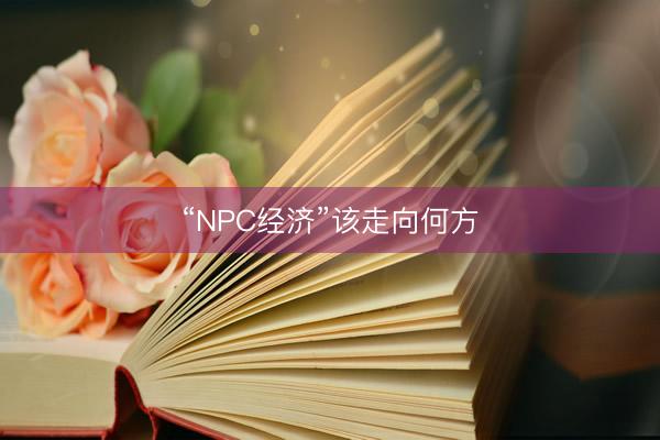“NPC经济”该走向何方