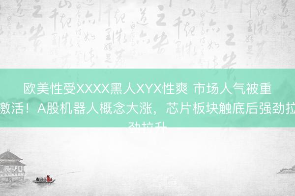 欧美性受XXXX黑人XYX性爽 市场人气被重新激活！A股机器人概念大涨，芯片板块触底后强劲拉升