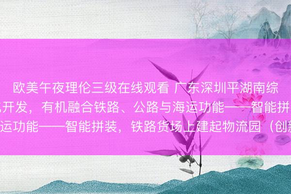 欧美午夜理伦三级在线观看 广东深圳平湖南综合物流枢纽采用立体化开发，有机融合铁路、公路与海运功能——智能拼装，铁路货场上建起物流园（创新故事）