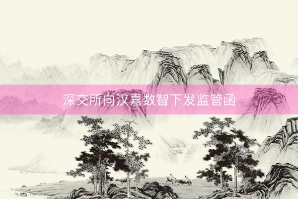 深交所向汉嘉数智下发监管函