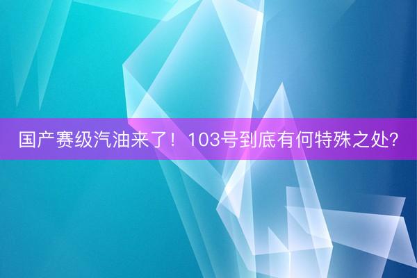国产赛级汽油来了！103号到底有何特殊之处？