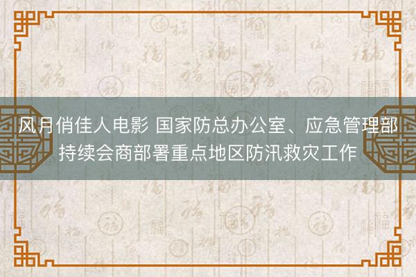 风月俏佳人电影 国家防总办公室、应急管理部持续会商部署重点地区防汛救灾工作