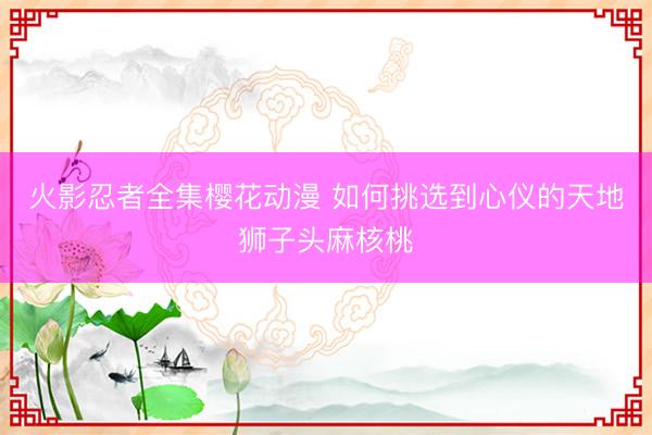 火影忍者全集樱花动漫 如何挑选到心仪的天地狮子头麻核桃