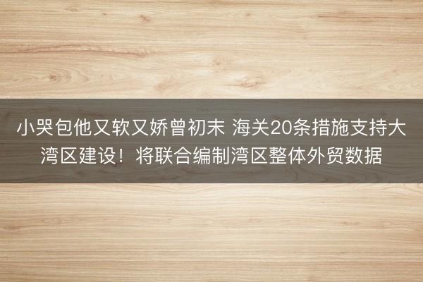 小哭包他又软又娇曾初末 海关20条措施支持大湾区建设！将联合编制湾区整体外贸数据