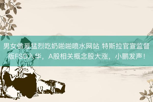 男女做爰猛烈吃奶啪啪喷水网站 特斯拉官宣监督版FSD入华,A股相关概念股大涨,小鹏发声!