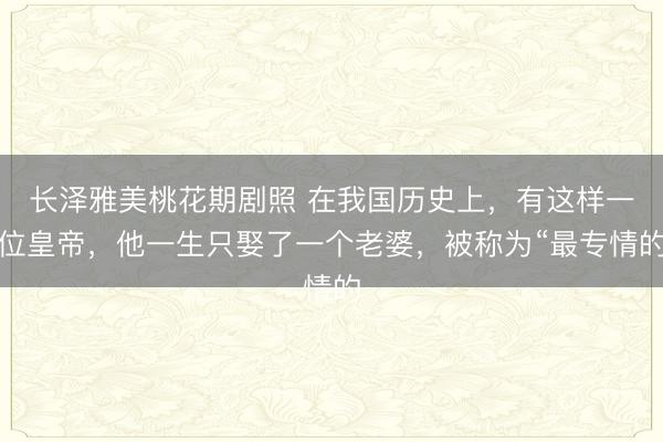 长泽雅美桃花期剧照 在我国历史上，有这样一位皇帝，他一生只娶了一个老婆，被称为“最专情的
