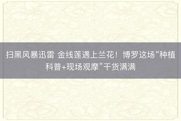 扫黑风暴迅雷 金线莲遇上兰花！博罗这场“种植科普+现场观摩”干货满满