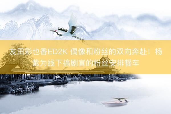 友田彩也香ED2K 偶像和粉丝的双向奔赴！杨紫为线下搞剧宣的粉丝安排餐车