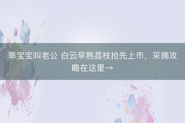 乖宝宝叫老公 白云早熟荔枝抢先上市，采摘攻略在这里→