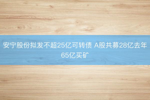 安宁股份拟发不超25亿可转债 A股共募28亿去年65亿买矿