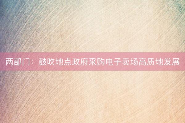 两部门：鼓吹地点政府采购电子卖场高质地发展