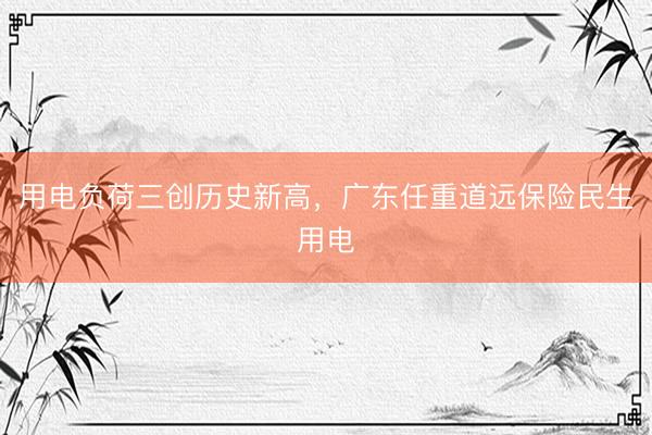 用电负荷三创历史新高，广东任重道远保险民生用电