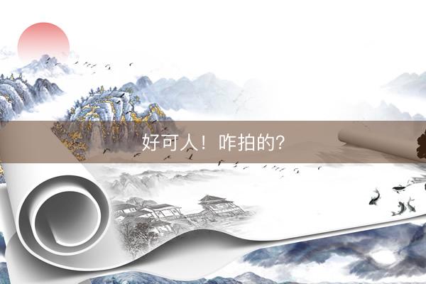 好可人！咋拍的？