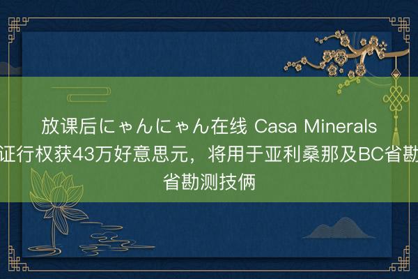放课后にゃんにゃん在线 Casa Minerals认股权证行权获43万好意思元，将用于亚利桑那及BC省勘测技俩
