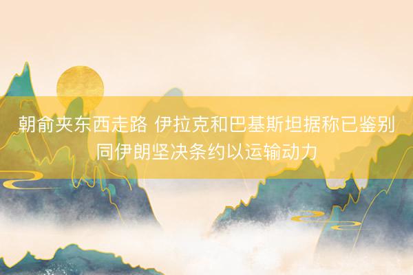 朝俞夹东西走路 伊拉克和巴基斯坦据称已鉴别同伊朗坚决条约以运输动力