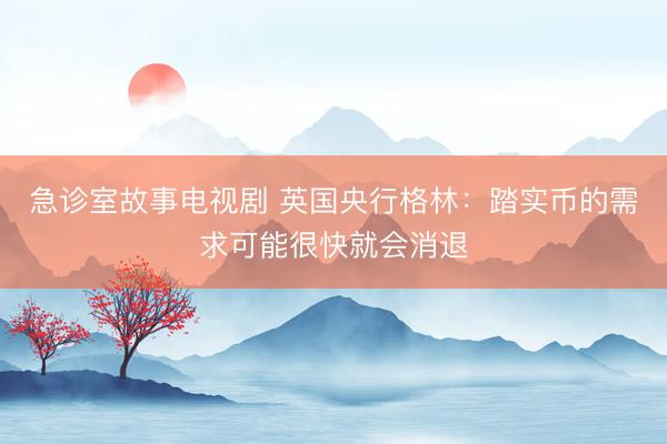 急诊室故事电视剧 英国央行格林:踏实币的需求可能很快就会消退
