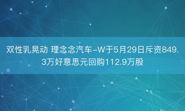 双性乳晃动 理念念汽车-W于5月29日斥资849.3万好意思元回购112.9万股