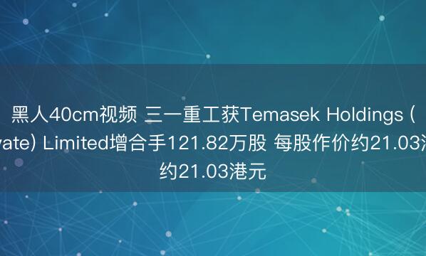 黑人40cm视频 三一重工获Temasek Holdings (Private) Limited增合手121.82万股 每股作价约21.03港元