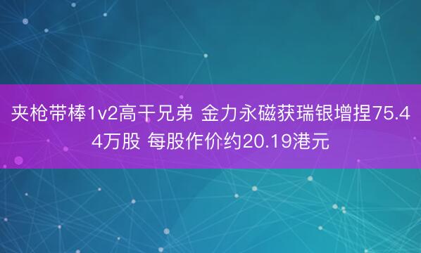夹枪带棒1v2高干兄弟 金力永磁获瑞银增捏75.44万股 每股作价约20.19港元