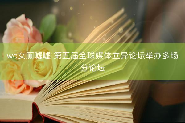 wc女厕嘘嘘 第五届全球媒体立异论坛举办多场分论坛