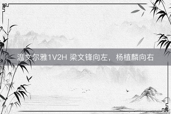 温文尔雅1V2H 梁文锋向左，杨植麟向右