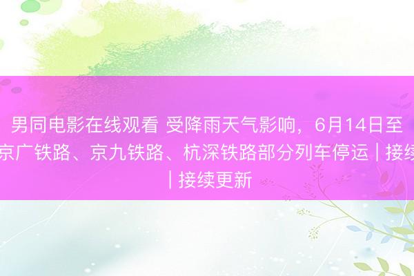 男同电影在线观看 受降雨天气影响，6月14日至15日京广铁路、京九铁路、杭深铁路部分列车停运 | 接续更新
