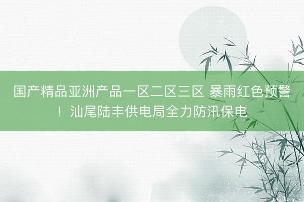 国产精品亚洲产品一区二区三区 暴雨红色预警！汕尾陆丰供电局全力防汛保电