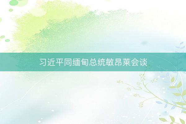 习近平同缅甸总统敏昂莱会谈