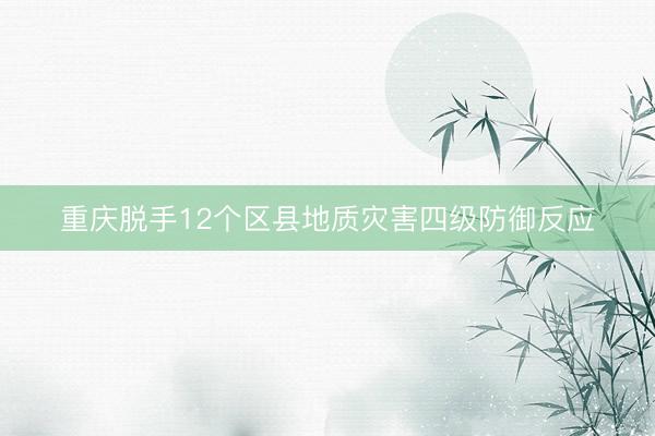 重庆脱手12个区县地质灾害四级防御反应