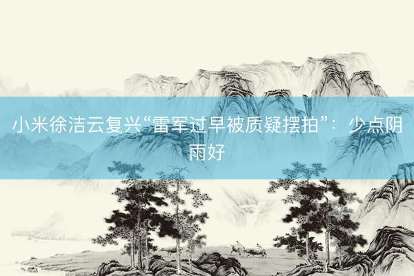 小米徐洁云复兴“雷军过早被质疑摆拍”：少点阴雨好