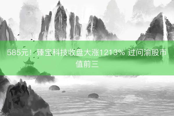 585元！臻宝科技收盘大涨1213% 过问渝股市值前三